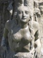 /album/sosne-telo/a13-0829-cze-2-jpg/